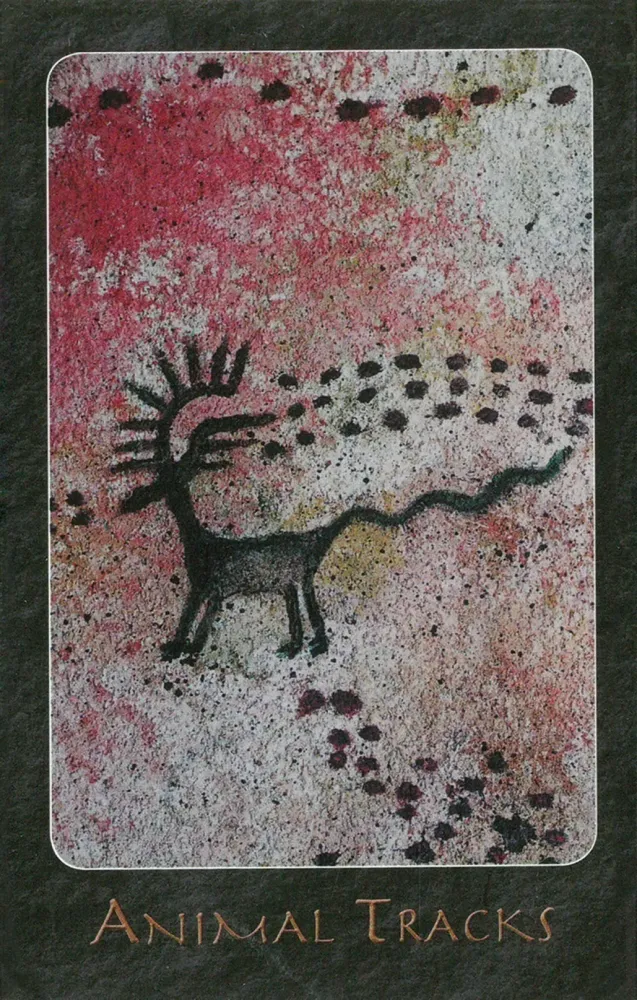 A Shaman Oracle Cards